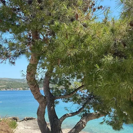 With A Parking Space - 20671 * Rogoznica (Sibenik-Knin)