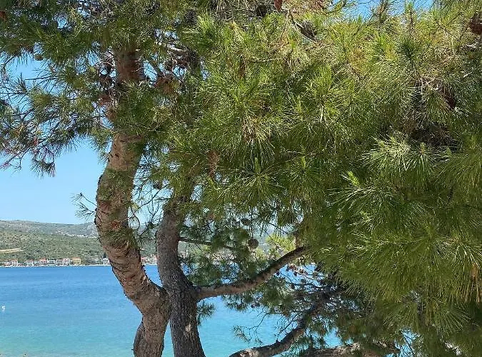 With A Parking Space - 20671 * Rogoznica (Sibenik-Knin)